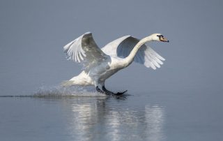 Toch zachtere start handhaving op schijnzelfstandigheid