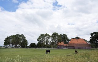 Woonboerderij met schuur, paardenbak en weiland 10,4% of 2% overdrachtsbelasting