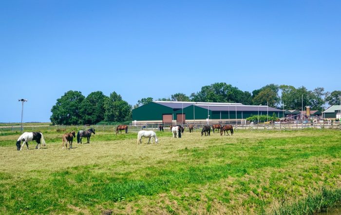 Correctie gebruikelijk loon via inkomstenbelasting of loonheffing